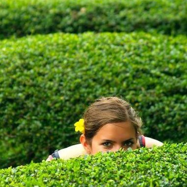 Recruitment Recruiting